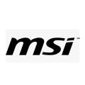 MSI