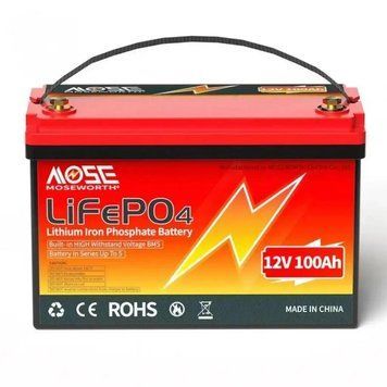 Акумулятор для ДБЖ/інвертора MOSEWORTH LiFePO4 12V 100Ah id_924 фото